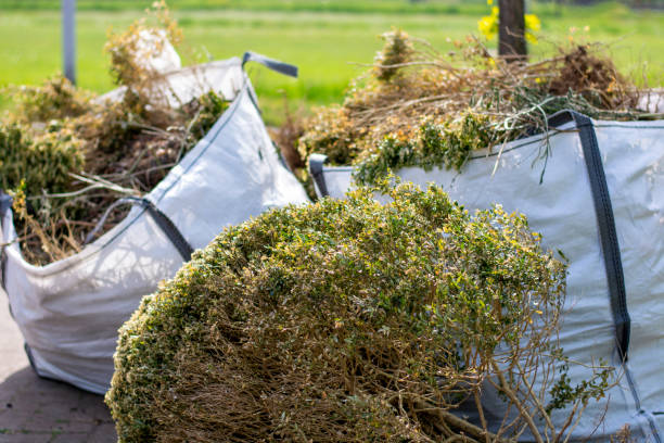 Best Yard Waste Removal  in Kemah, TX